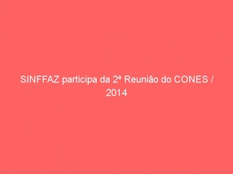 SINFFAZ participa da 2ª Reunião do CONES / 2014