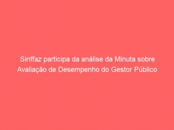 Sinffaz participa da análise da Minuta sobre Avaliação de Desempenho do Gestor Público