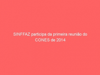 SINFFAZ participa da primeira reunião do CONES de 2014