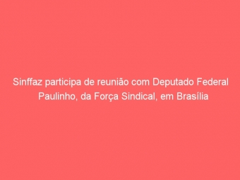Sinffaz participa de reunião com Deputado Federal Paulinho, da Força Sindical, em Brasília