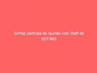 Sinffaz participa de reunião com Staff da SEF/MG