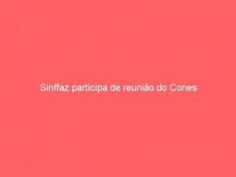 Sinffaz participa de reunião do Cones
