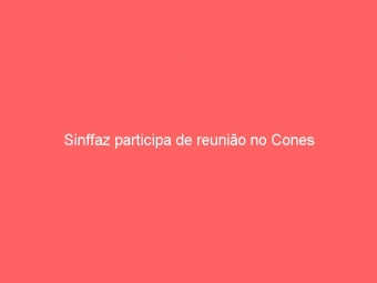 Sinffaz participa de reunião no Cones