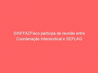SINFFAZFisco participa de reunião entre Coordenação Intersindical e SEPLAG