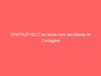 SINFFAZFISCO se reúne com servidores de Contagem