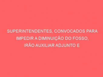 SUPERINTENDENTES, CONVOCADOS PARA IMPEDIR A DIMINUIÇÃO DO FOSSO, IRÃO AUXILIAR ADJUNTO E SUBSECRETÁRIO DA RECEITA NA PRESSÃO SOBRE O SECRETÁRIO