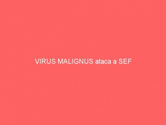 VIRUS MALIGNUS ataca a SEF